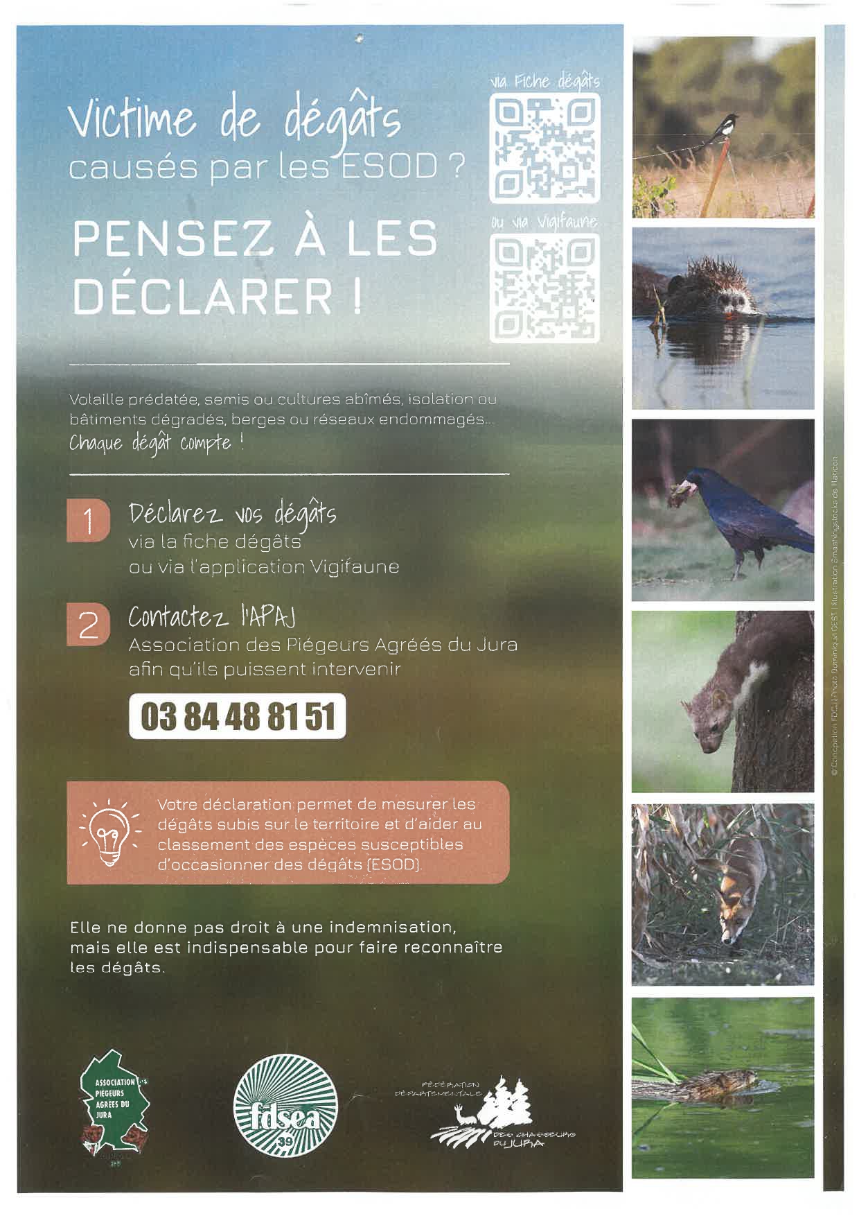 Déclaration ESOD